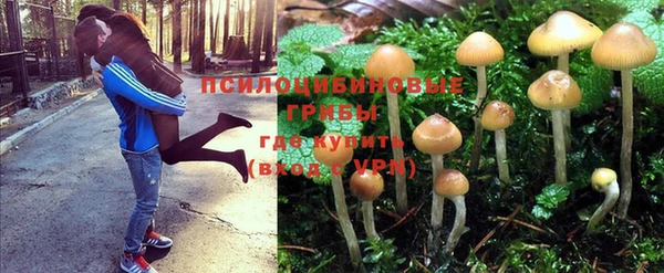 хмурый Балабаново