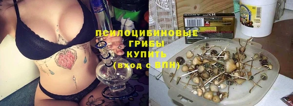 хмурый Балабаново